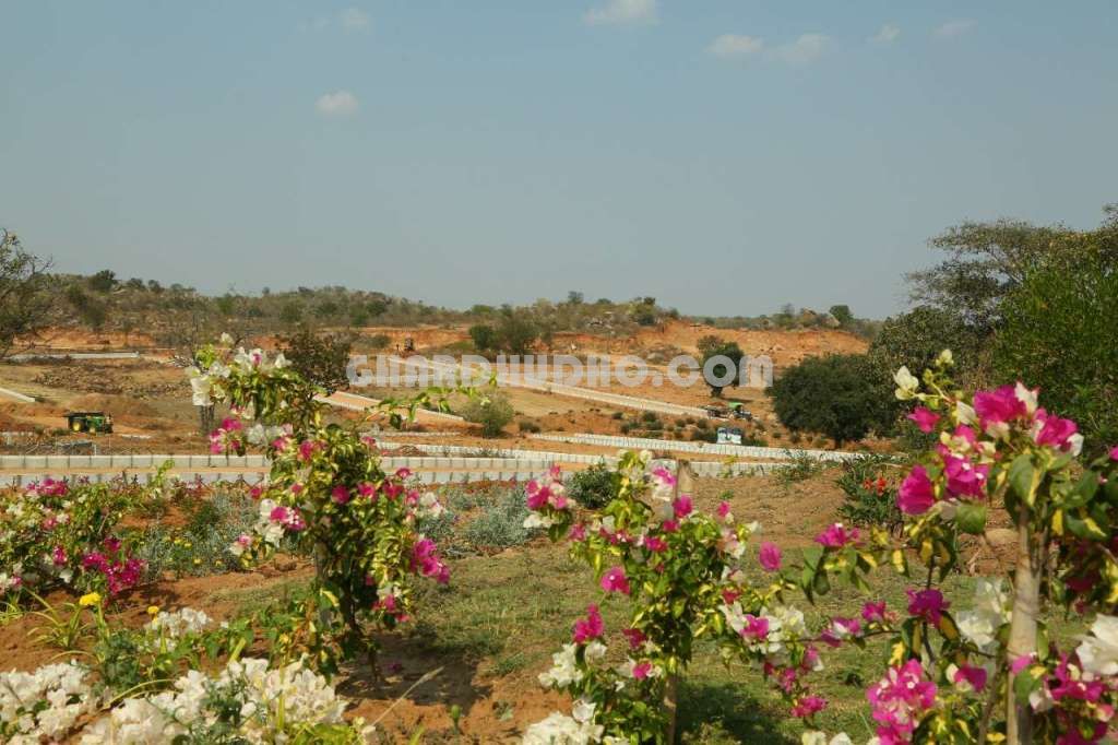 Dates County : Free Hold Plots In Hyderabad