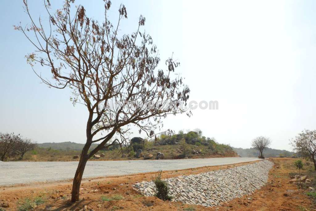 Dates County : Free Hold Plots In Hyderabad