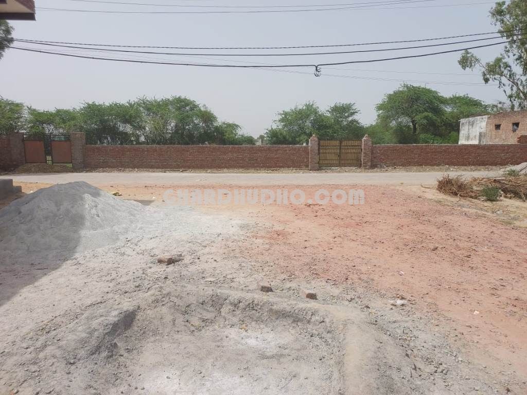 Free Hold Plot In Firozpur Palwal Haryana