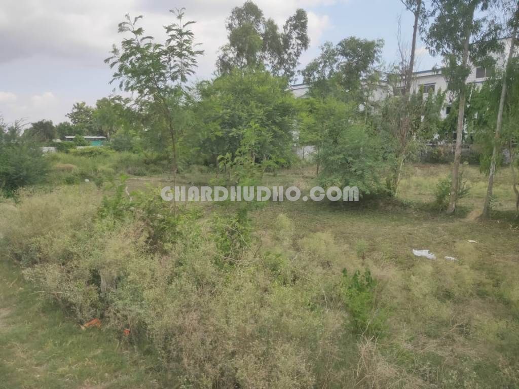 Best Land For Hotel At Prime Location In Shrawasti