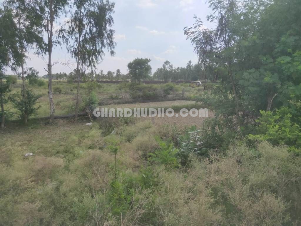 Best Land For Hotel At Prime Location In Shrawasti