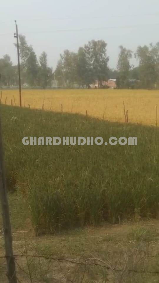 27 Bigha Land For Sale At Sultanpur Road Lucknow