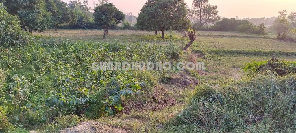 1.5 Bigha Land For Sale In Malihabad Hardoi Road Lucknow