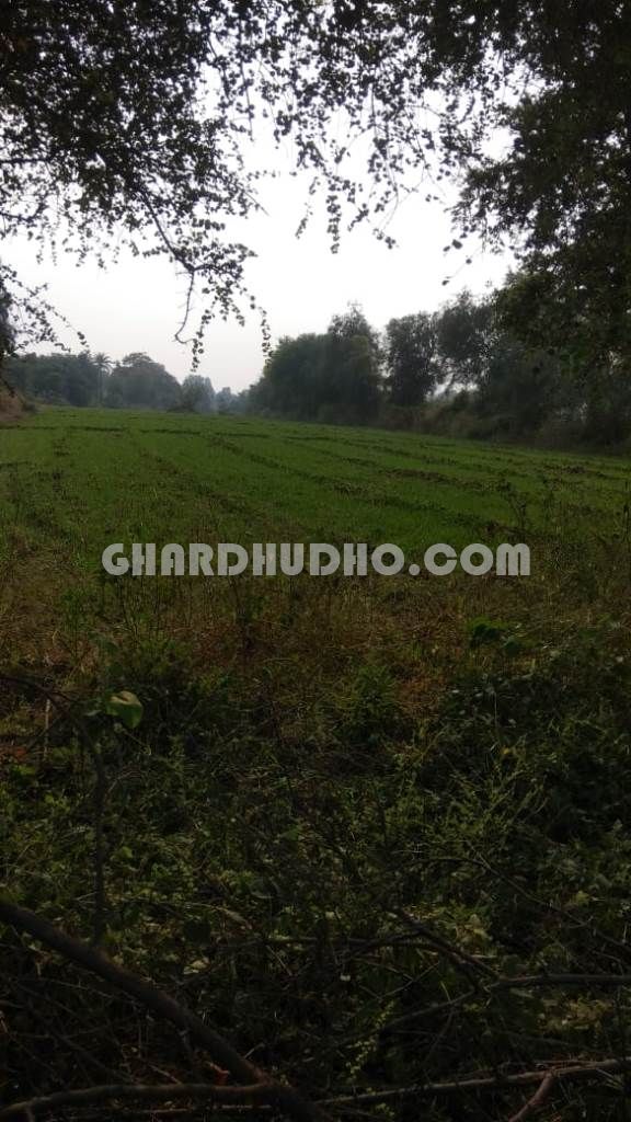 22 Bigha Land For Sale In Mavali Rajasthan