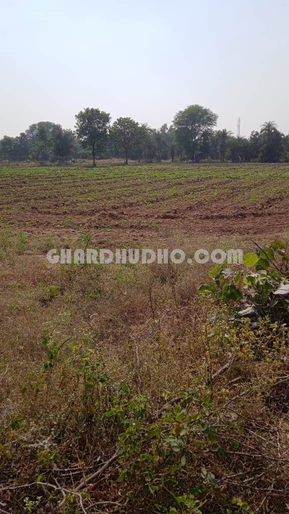 22 Bigha Land For Sale In Mavali Rajasthan