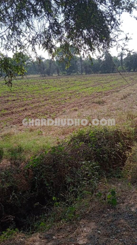 22 Bigha Land For Sale In Mavali Rajasthan