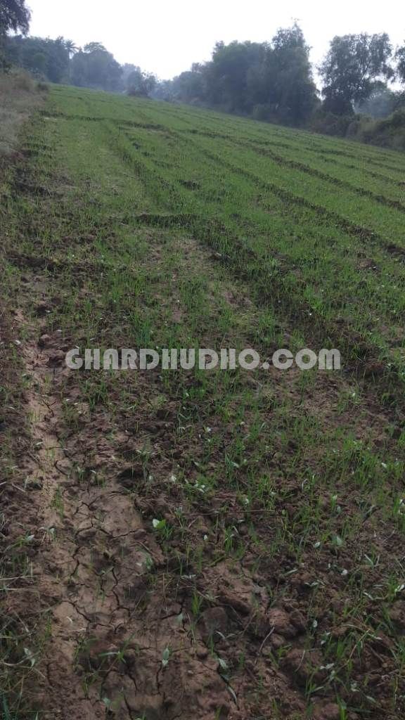 22 Bigha Land For Sale In Mavali Rajasthan