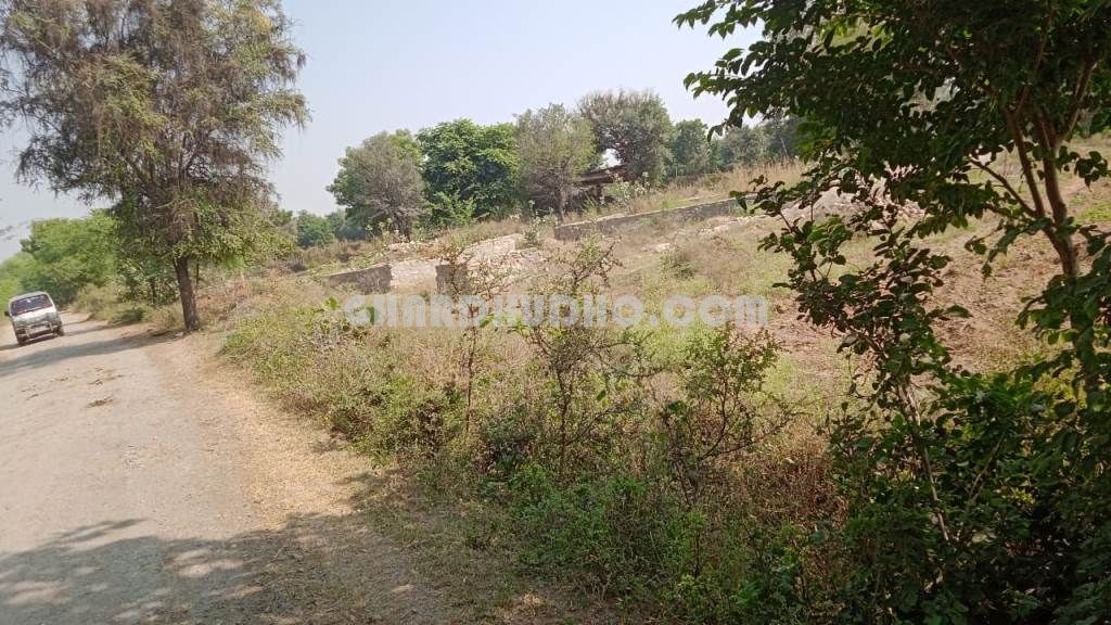 22 Bigha Land For Sale In Mavali Rajasthan