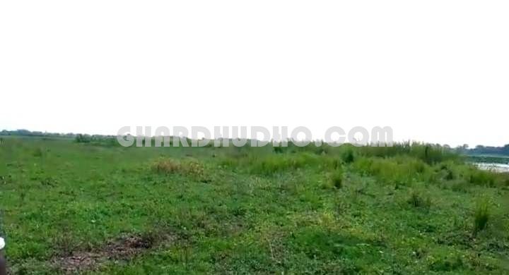 132 Bigha Agricultural Land For Sale In Bahraich