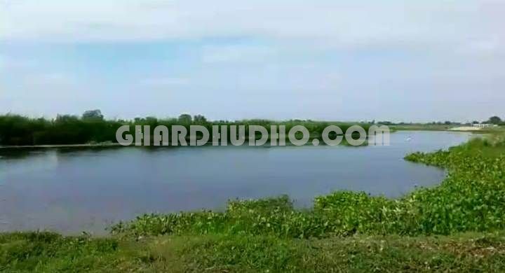 132 Bigha Agricultural Land For Sale In Bahraich