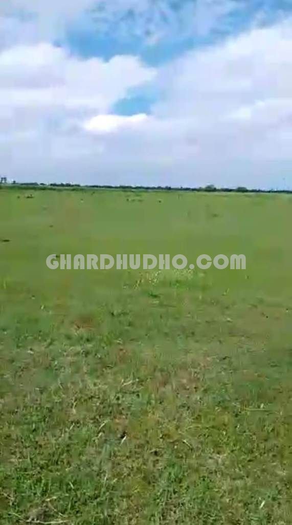 132 Bigha Agricultural Land For Sale In Bahraich