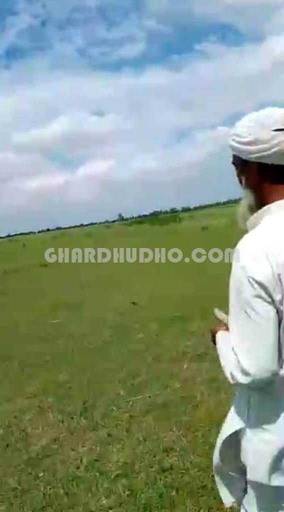 132 Bigha Agricultural Land For Sale In Bahraich