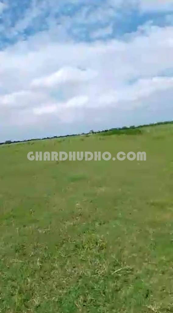 132 Bigha Agricultural Land For Sale In Bahraich