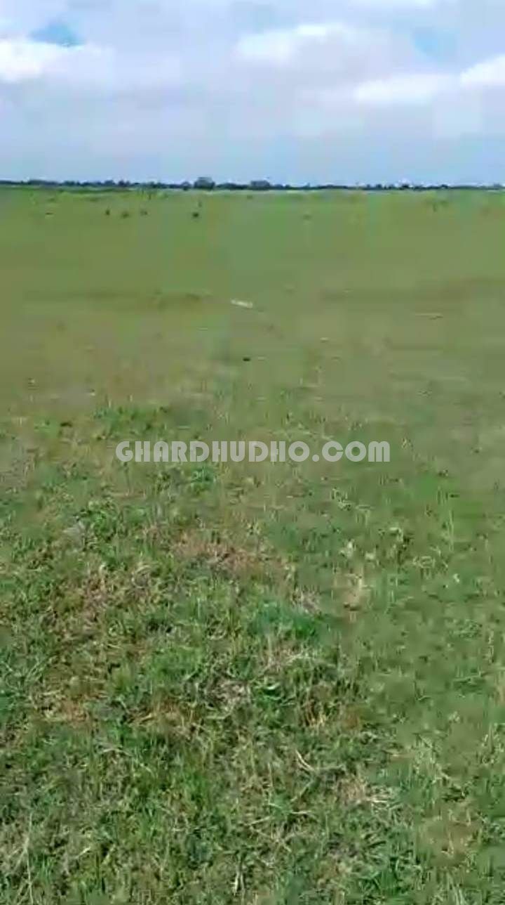 132 Bigha Agricultural Land For Sale In Bahraich