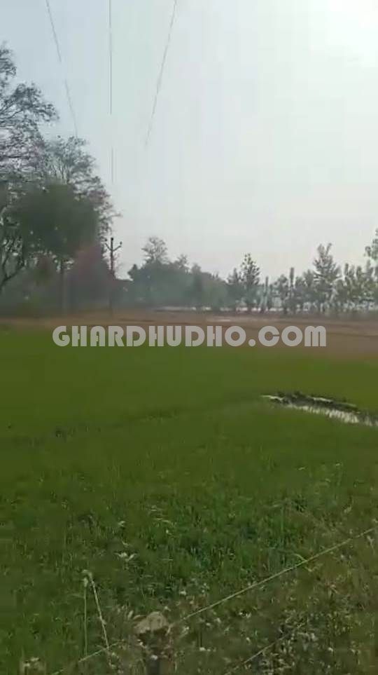 1 Bigha Agricultural Land For Sale In Rampur Uttar Pradesh