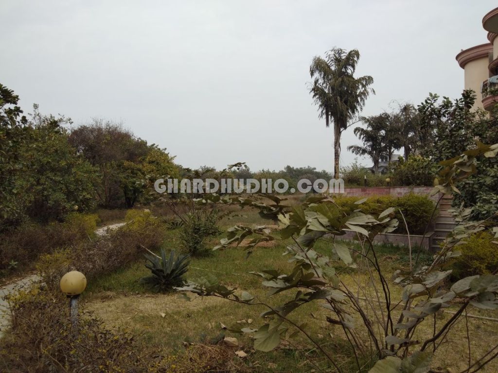 Luxury Bungalow & Farm House For Sale In Bhadohi Uttar Pradesh