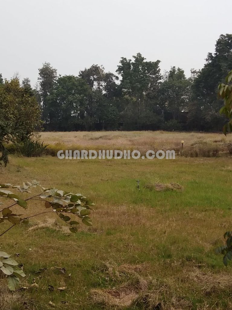 Luxury Bungalow & Farm House For Sale In Bhadohi Uttar Pradesh