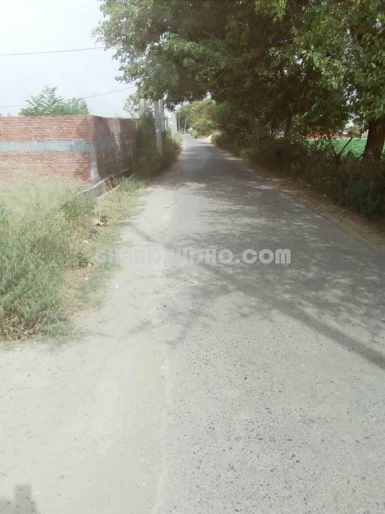 Free Hold Plot For Sale In Dadri Greater Noida