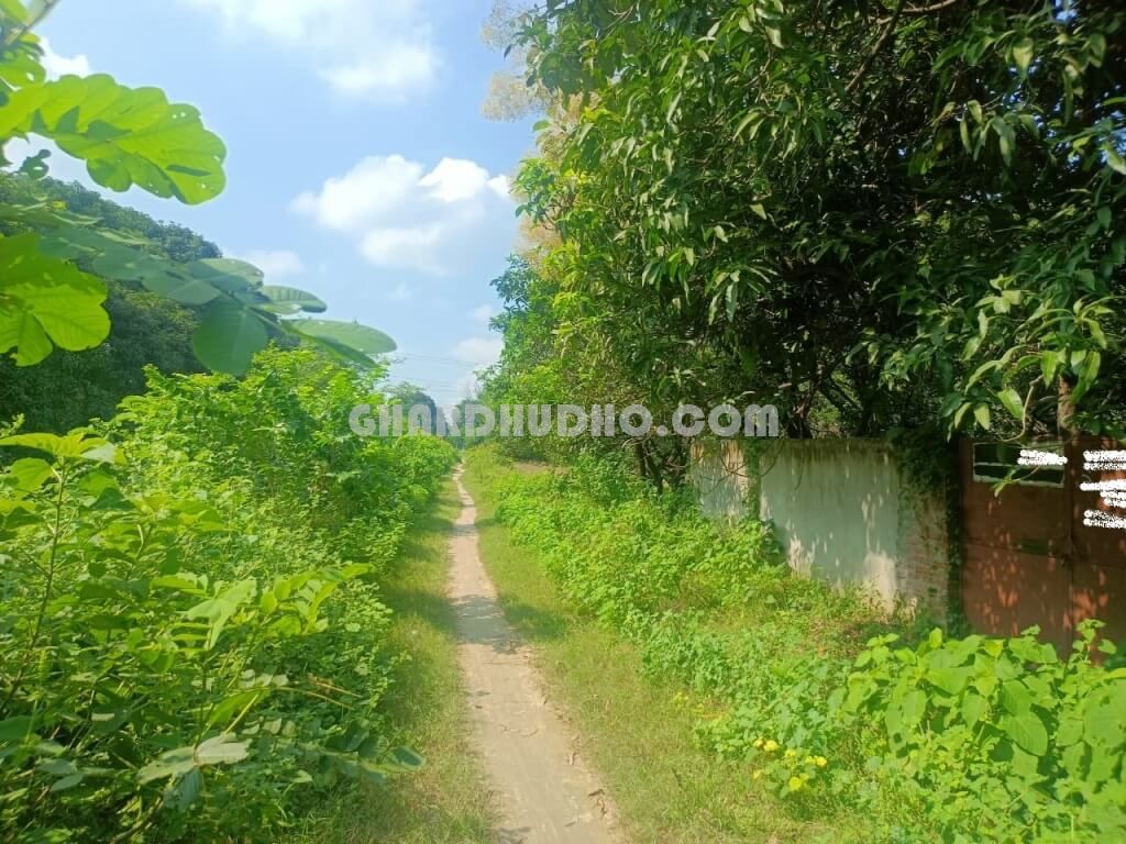 Agricultural Land With Mango Garden For Sale In Lucknow