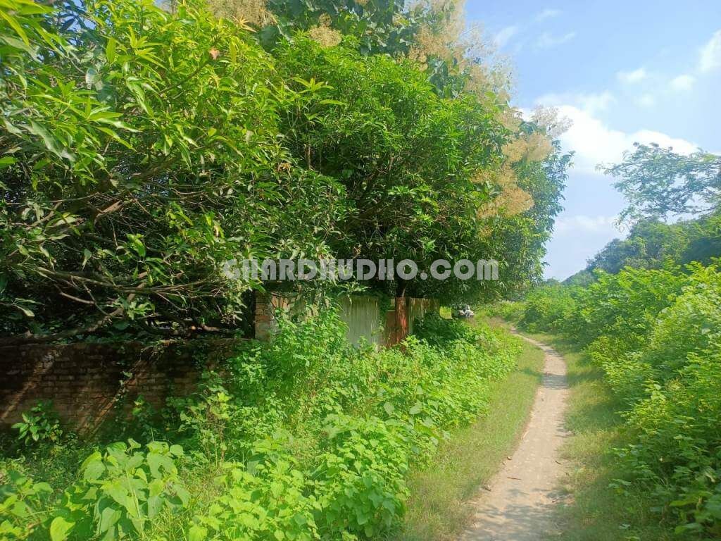 Agricultural Land With Mango Garden For Sale In Lucknow