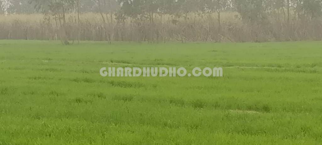 40 Bigha Agricultural Land For Sale In Mishrikh Sitapur