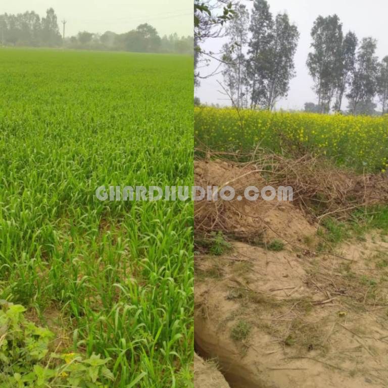 5 Bigha Agricultural Land For Sale In Mishrikh Sitapur