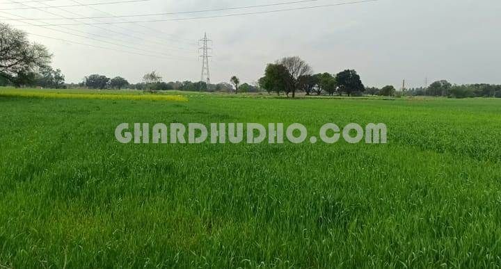 3.71 Bigha Agricultural Land For Sale In Mishrikh Sitapur