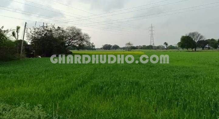 5 Bigha Agricultural Land For Sale Near Chandrawal Lucknow