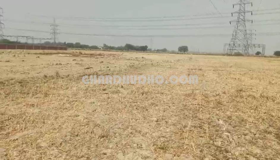 5 Bigha Agricultural Land For Sale In Varanasi