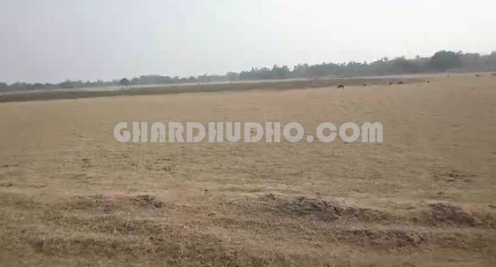 125 Bigha Agricultural Land For Sale At Purvanchal Expressway Sultanpur