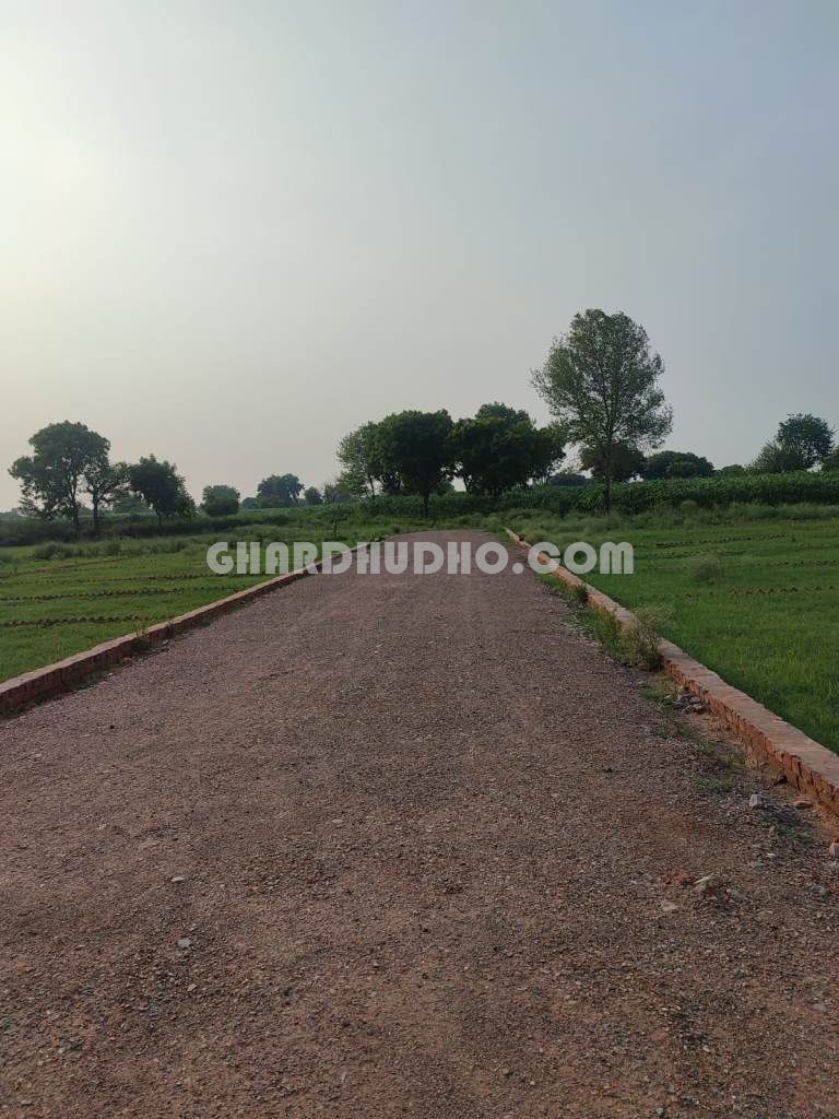 Rise Residency : Free Hold Plot For Sale Near Jewar Airport