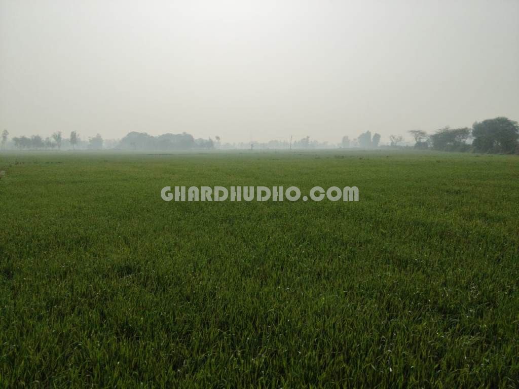 5 Bigha 2 Biswa Agricultural Land For Sale Near Nagram Lucknow