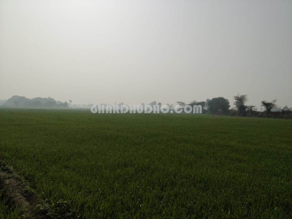 5 Bigha 2 Biswa Agricultural Land For Sale Near Nagram Lucknow