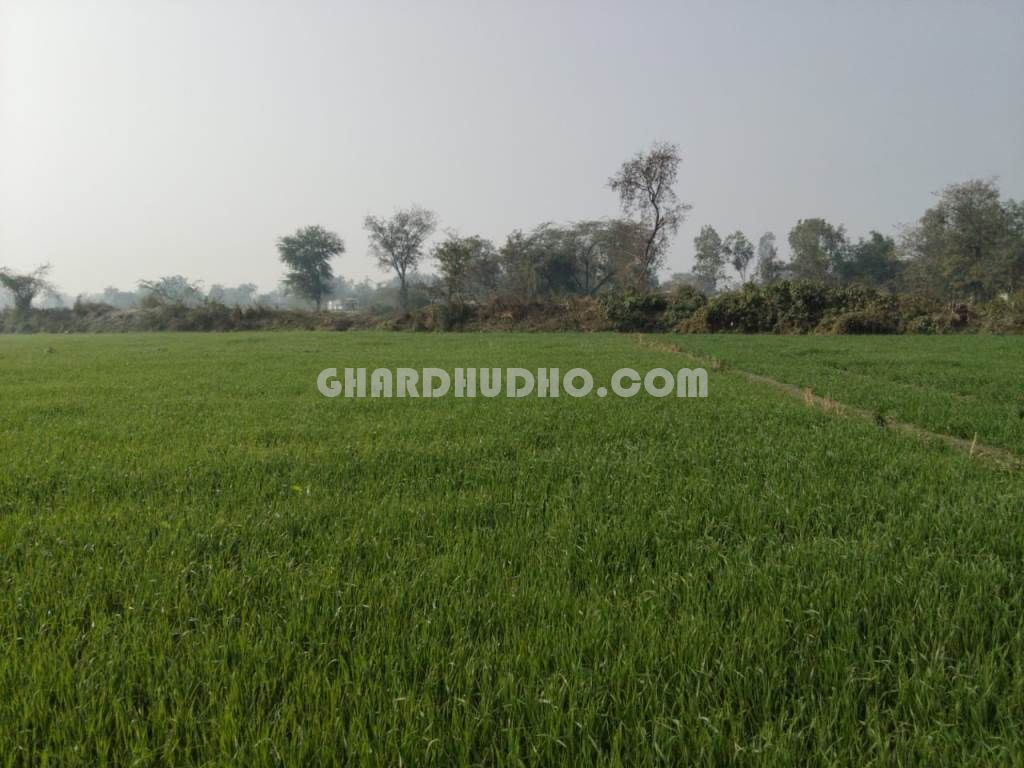 5 Bigha 2 Biswa Agricultural Land For Sale Near Nagram Lucknow