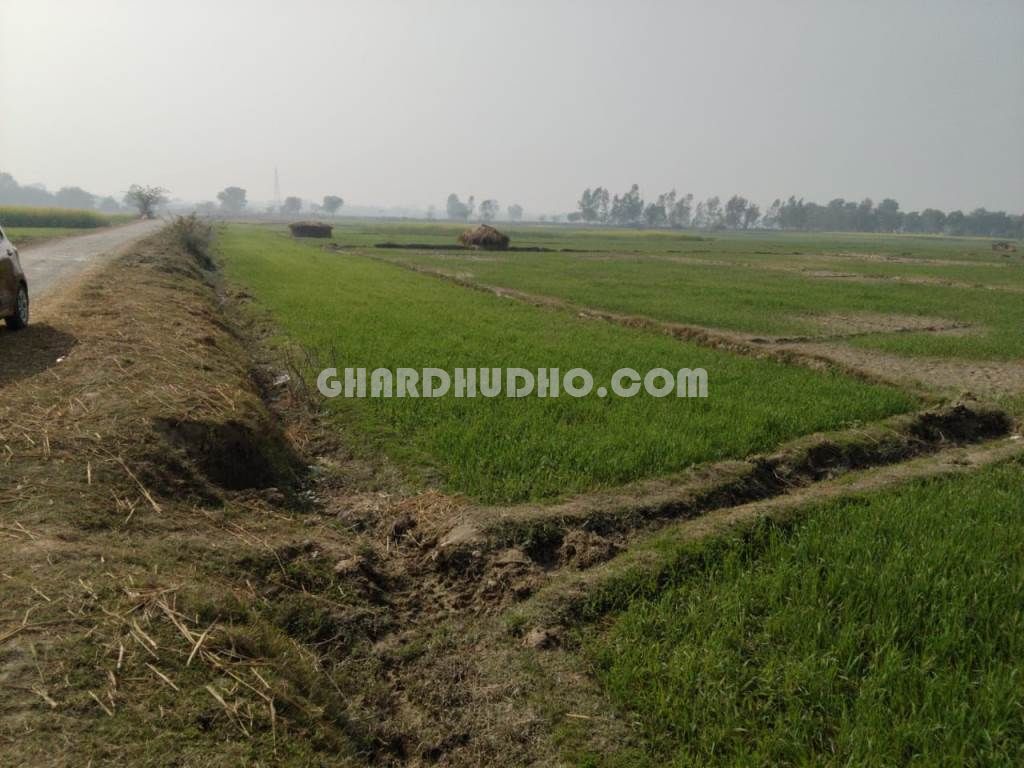 1 Bigha 2 Biswa Agricultural Land For Sale Near Nagram