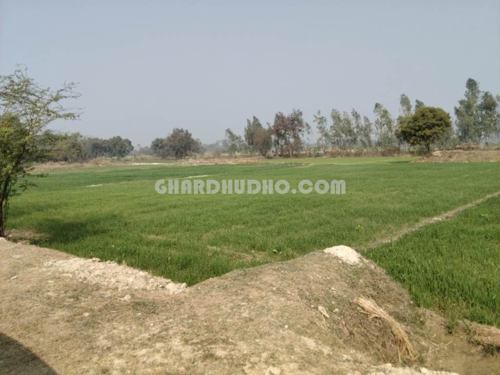 15 Biswa Agricultural Land For Sale Near Nagaram