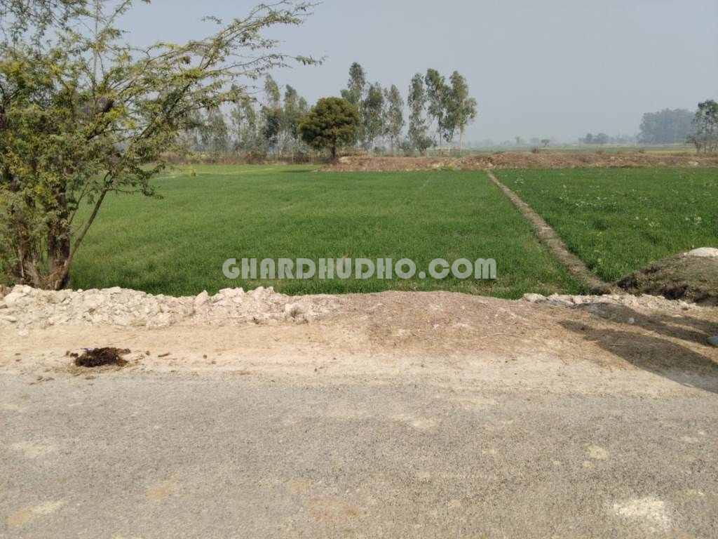 15 Biswa Agricultural Land For Sale Near Nagaram