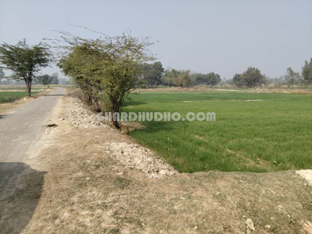 15 Biswa Agricultural Land For Sale Near Nagaram