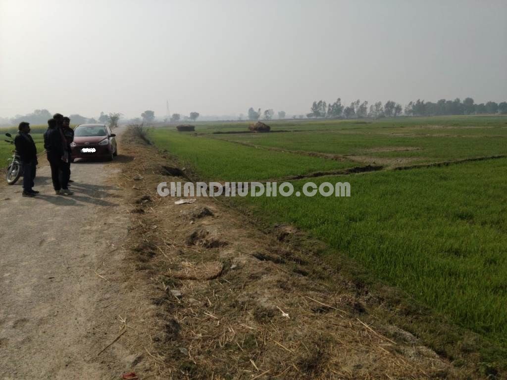 1 Bigha 2 Biswa Agricultural Land For Sale Near Nagram