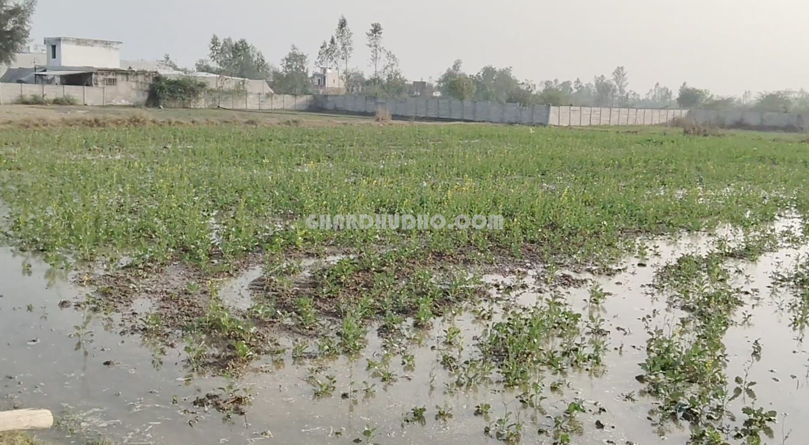 4.5 Bigha Agricultural Land For Sale At Raebareli Road Lucknow