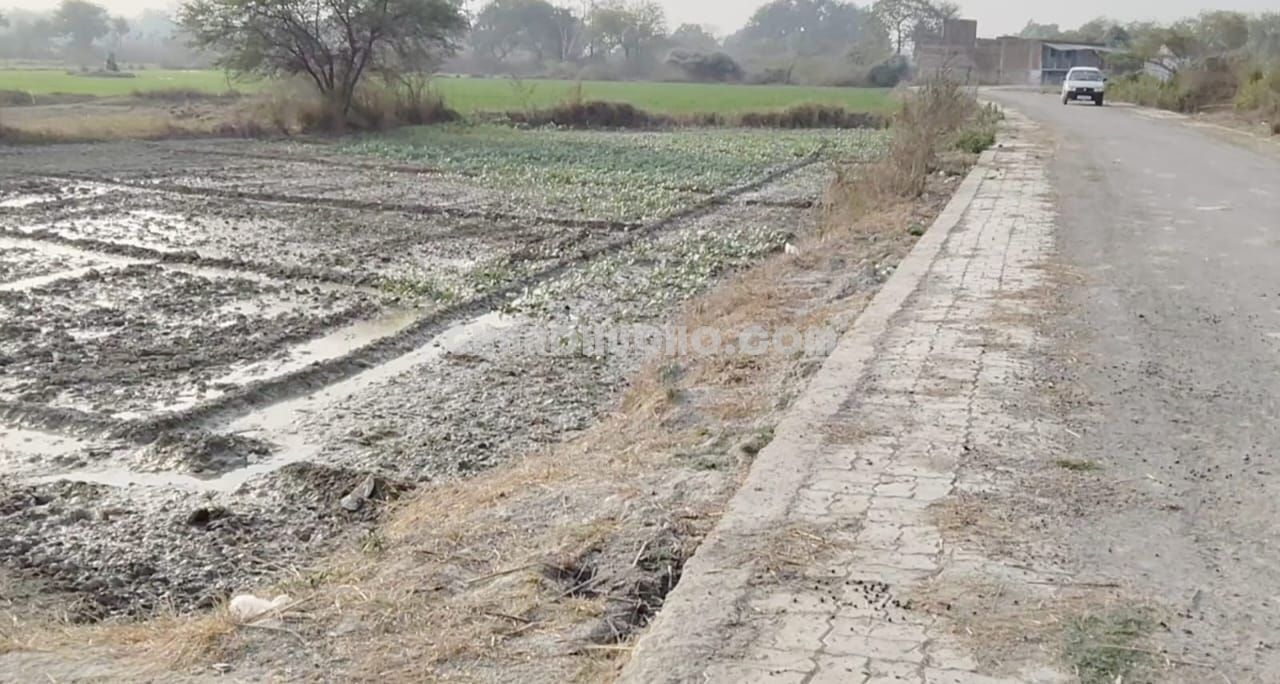 4.5 Bigha Agricultural Land For Sale At Raebareli Road Lucknow