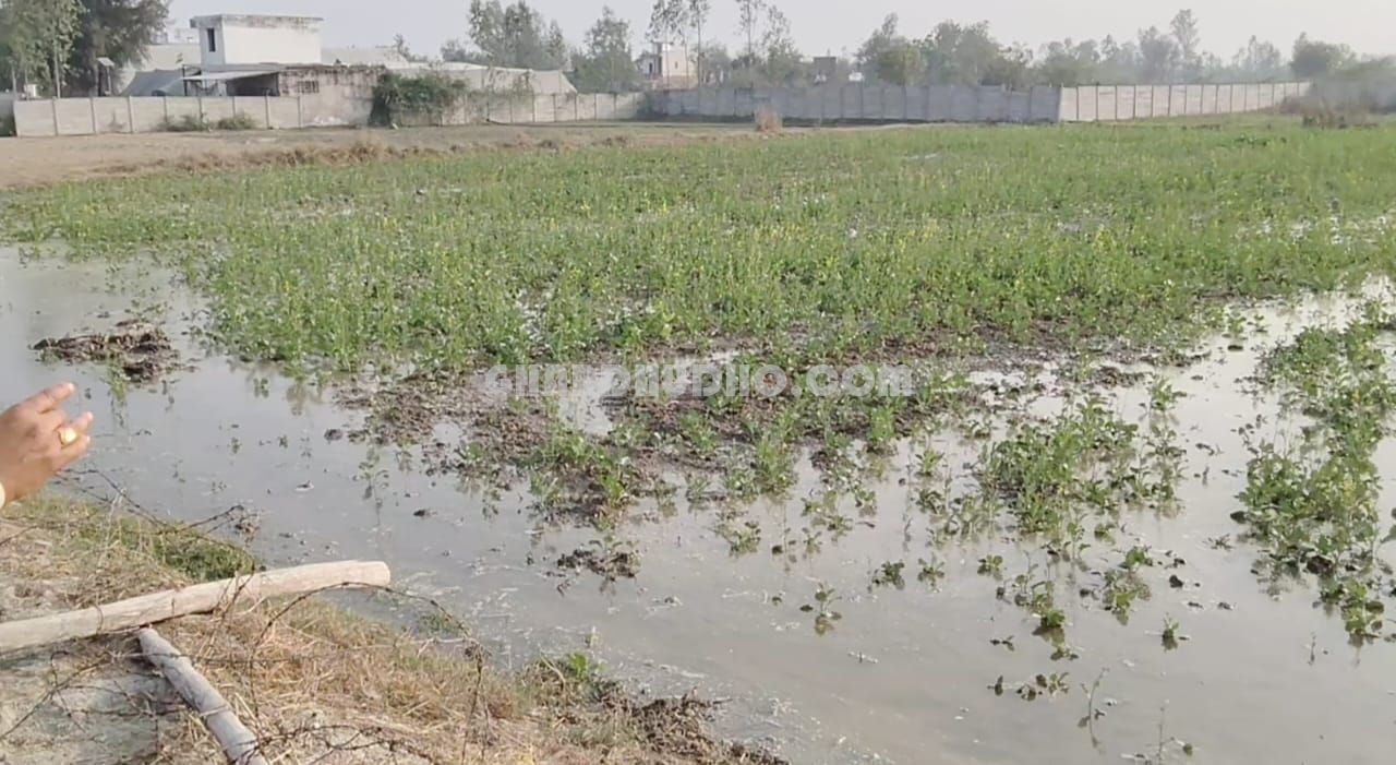 4.5 Bigha Agricultural Land For Sale At Raebareli Road Lucknow