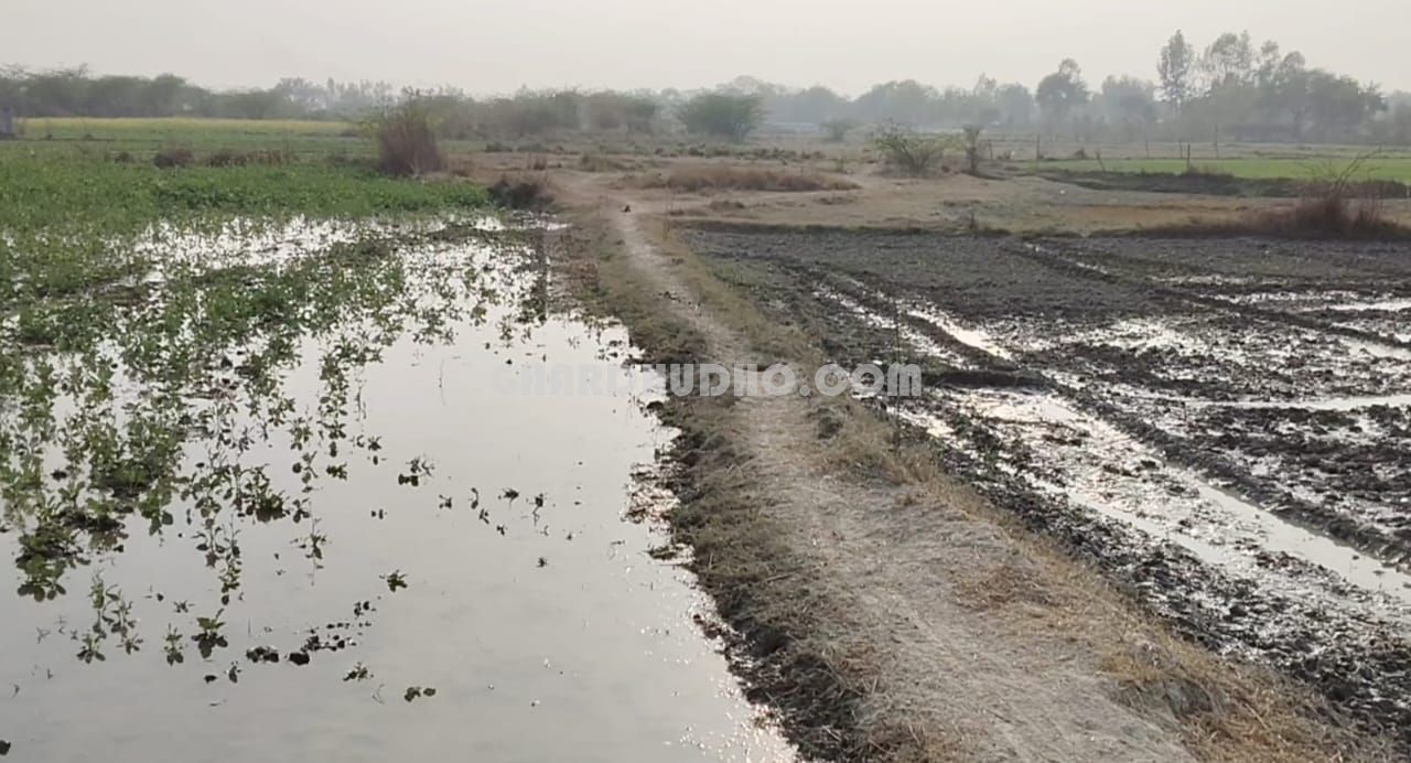 4.5 Bigha Agricultural Land For Sale At Raebareli Road Lucknow