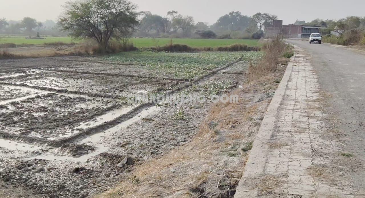 4.5 Bigha Agricultural Land For Sale At Raebareli Road Lucknow