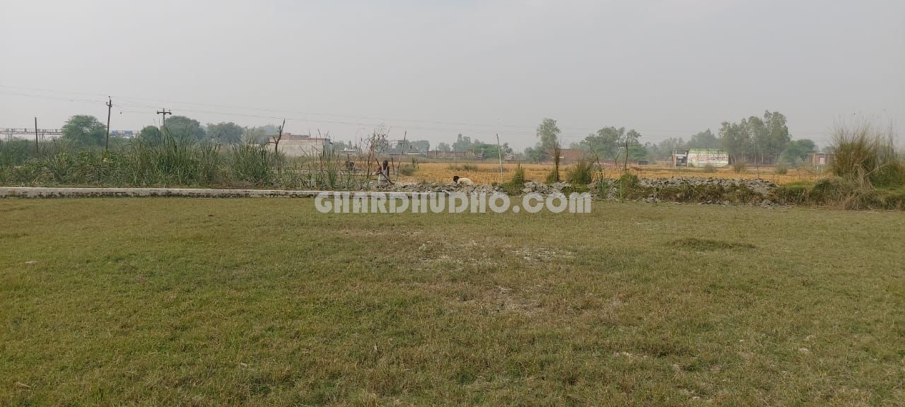 Dhara Farms : Farm House & Plot For Sale In Lucknow