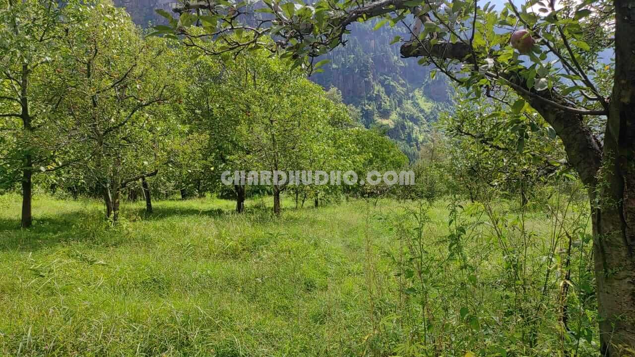 Land For Sale In Kullu Manali