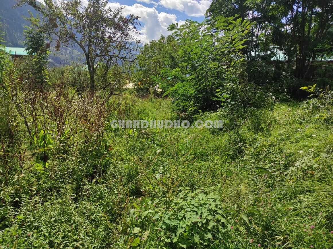 Land For Sale In Kullu Manali