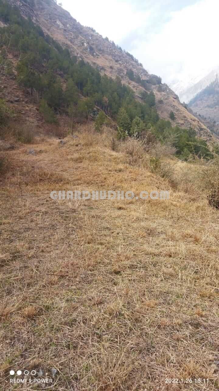 Agricultural Land For Sale In Kullu Manali