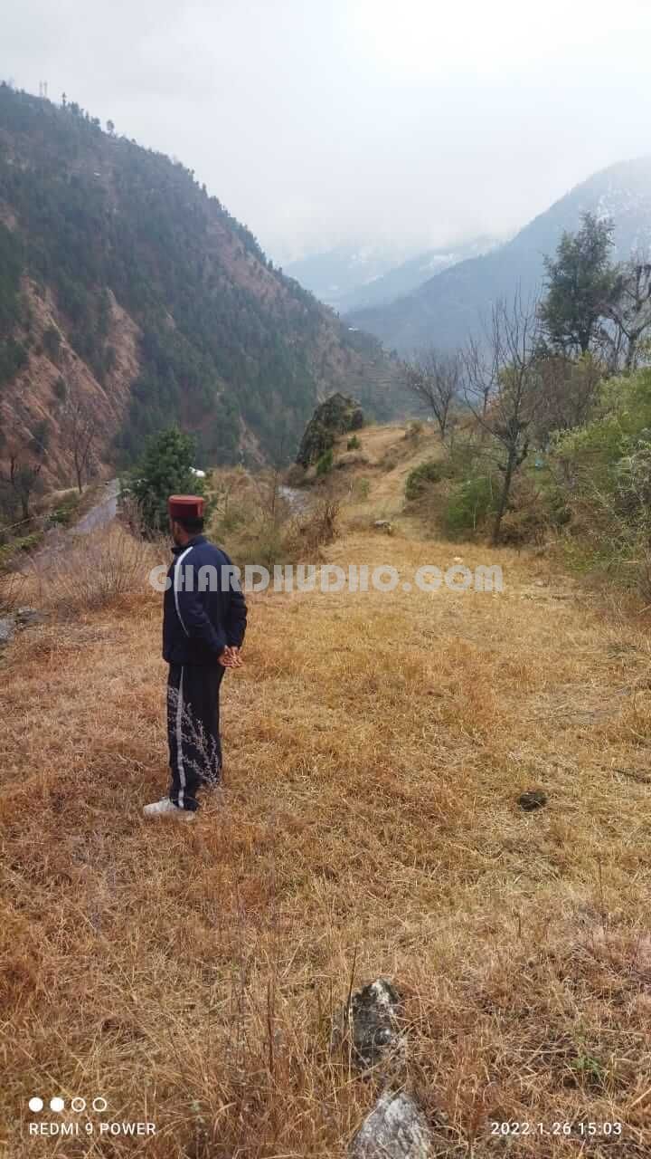 Agricultural Land For Sale In Kullu Manali