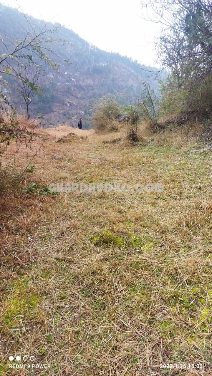 Agricultural Land For Sale In Kullu Manali